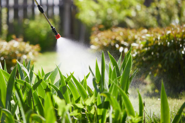 Tamper-Resistant Bait Stations for Rodents in El Cerrito